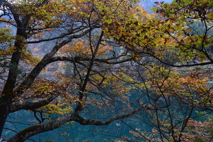 秋日山林斑斓景致