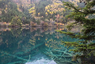 山间幽湖 翠林倒映