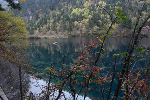 秋日山林中的碧绿湖水