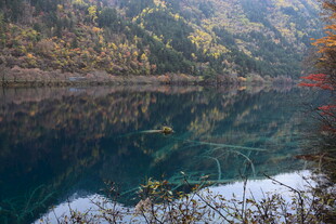 秋日静谧的清澈湖水美景