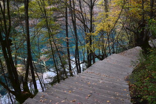 林间小径旁的幽蓝湖泊