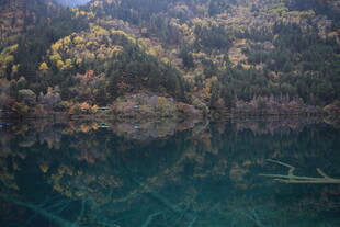 清澈湖水映山林美景