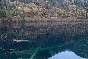 清澈湖水下的自然景观