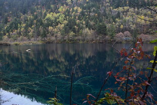 静谧湖景与多彩山林倒影