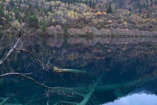 静谧湖景倒映多彩山林