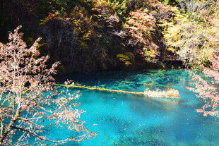 蓝湖泛舟赏烂漫春花