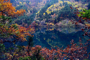 秋日山林中的静谧湖泊