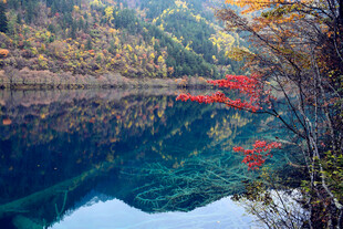 秋日湖景 红叶碧水相映