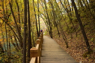 秋日林间漫步木栈道