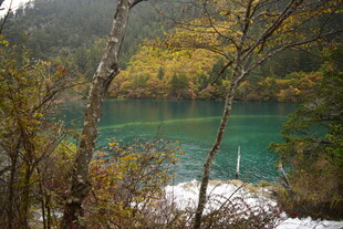 秋日彩林环绕的碧绿湖水