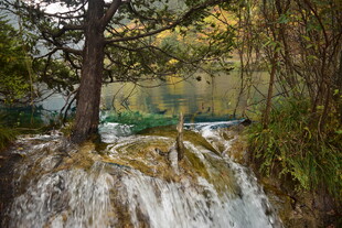 森林中的美丽瀑布景观