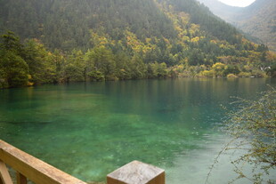 湖畔美景 青山绿水映翠湖