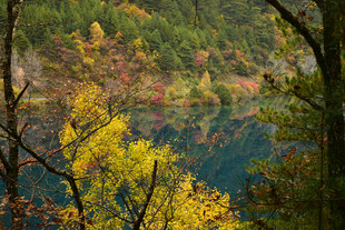 秋日斑斓湖畔山林美景