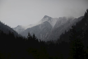 云雾缭绕的山林与远山