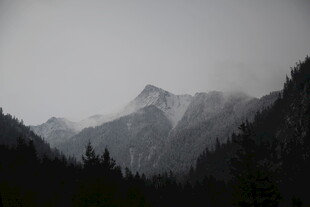 雾中群山与森林美景