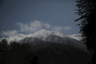 雪山远景 云雾缭绕山林间