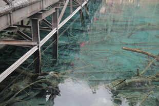 水下桥梁残骸景观