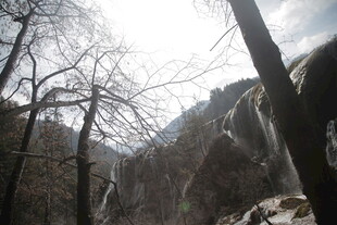 山间枯树与冰瀑景观