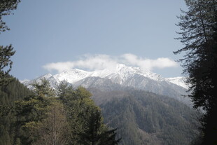 山林间远眺巍峨雪山