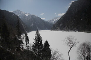 冬日雪山松林美景