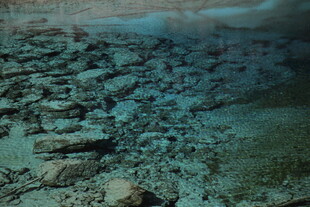 海底神秘的礁石景观