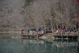 湖畔木栈游人赏景