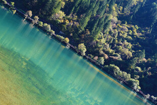 清澈碧绿的山间河流景色