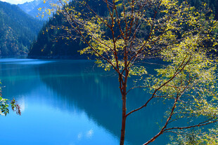 湖畔绿树映蓝湖美景