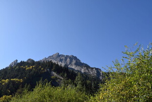 巍峨山峰与葱郁植被