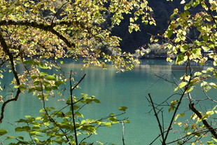 湖畔春景 枝叶掩映碧水
