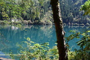 森林环绕的清澈幽蓝湖泊