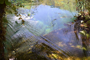 清澈溪流中的多彩石块
