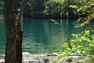 湖畔绿树环绕的静谧湖水