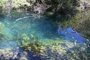 清澈见底的幽蓝山间水潭