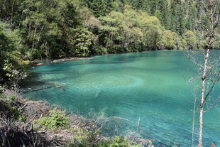 翠绿山林间的幽蓝湖泊