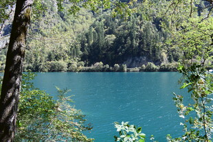 森林环绕的幽蓝静谧湖泊