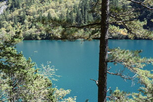山林间的湛蓝湖水