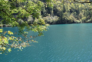 湖畔绿意 幽蓝湖水景致