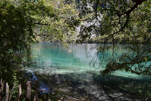 森林中的清澈幽蓝湖水