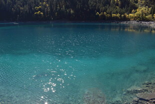 清澈蓝湖岸边景致