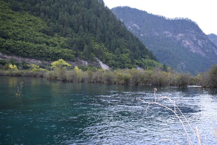 青山绿水间的秀丽河畔风光