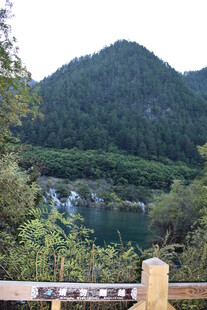 山间秀丽湖景与繁茂植被