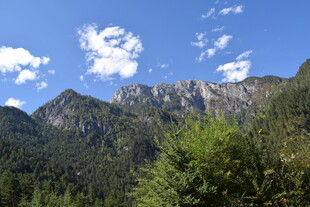 壮丽山景与蓝天绿树