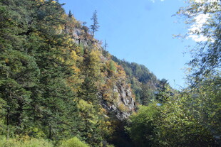 山间美景 葱郁树林与峭壁