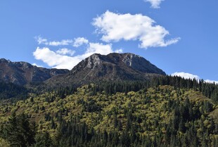青山巍峨伴蓝天绿树
