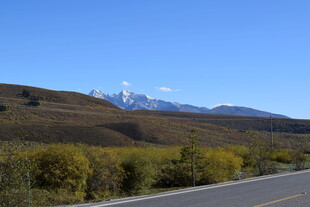 公路旁秋景与远处雪山