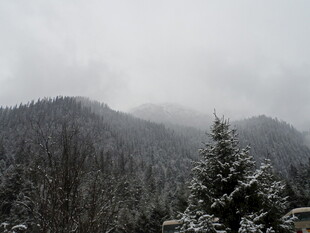 雪覆山林 云雾缭绕之景