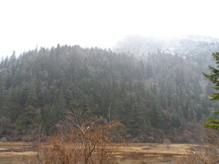 山林雾景 自然静谧风光