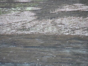 潺潺流水的自然景象