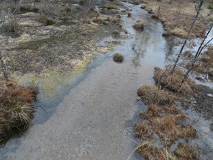 山间溪流 尽显自然野趣